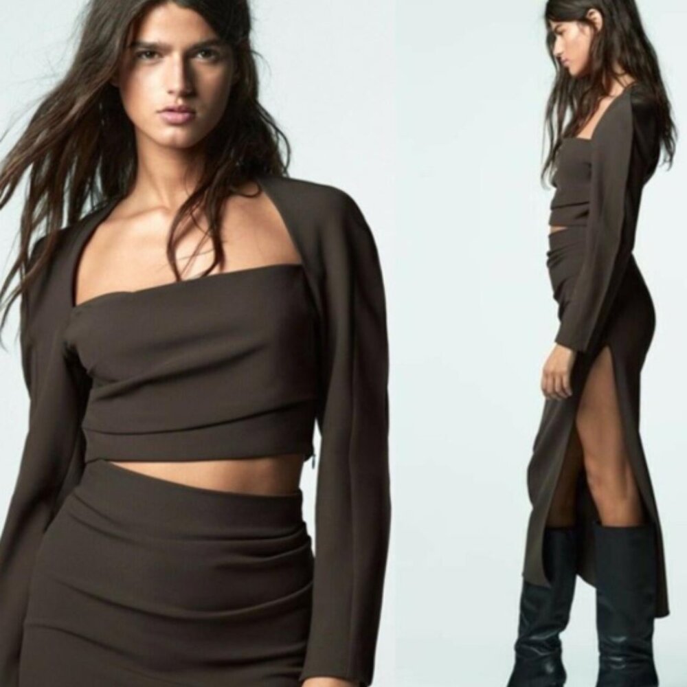 Zara Dark Brown Long Sleeve Crop Top